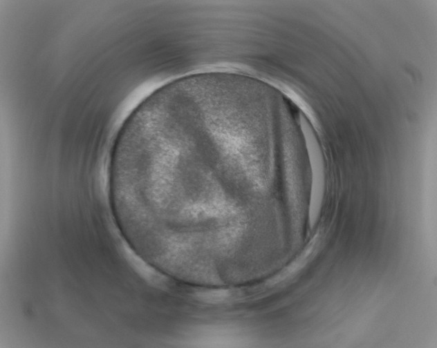 X0000113571054200910161514