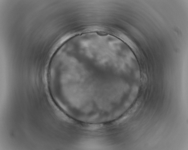 X0000113571055200910161514