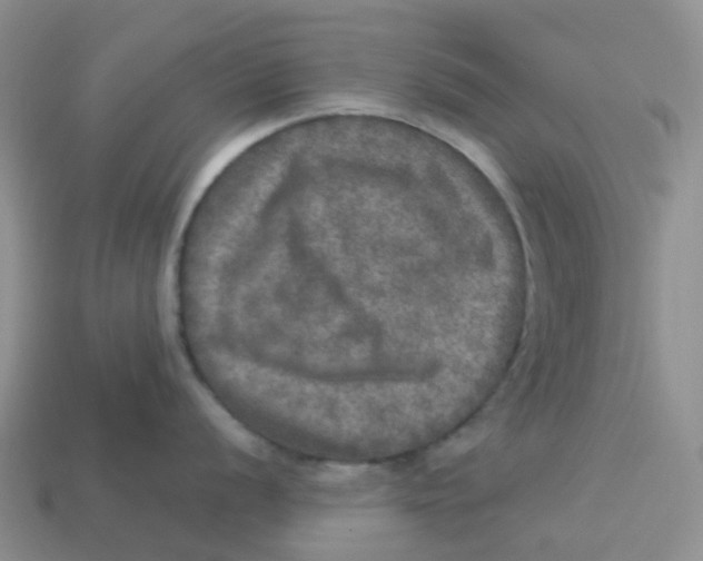 X0000113571056200910161514