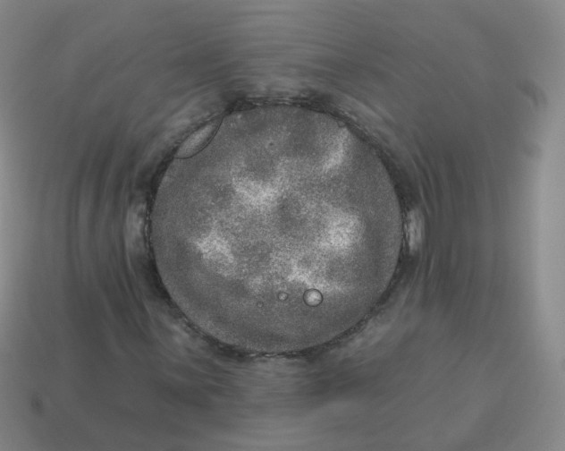 X0000113571059200910161513