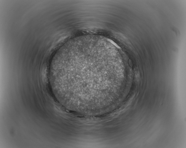 X0000113571060200910161513