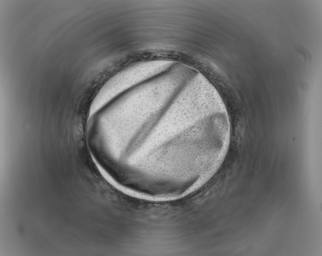 X0000113571062200910161513