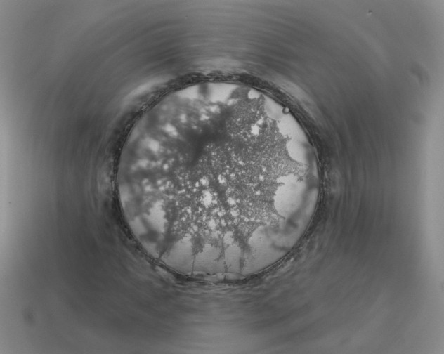 X0000113571063200910161513