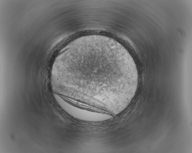 X0000113571064200910161513