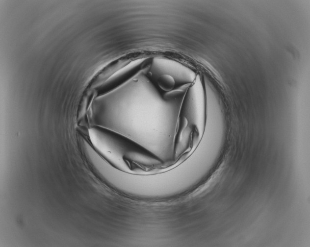 X0000113571065200910161513