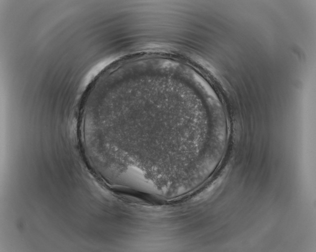 X0000113571066200910161513