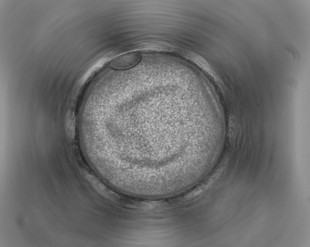 X0000113571067200910161513