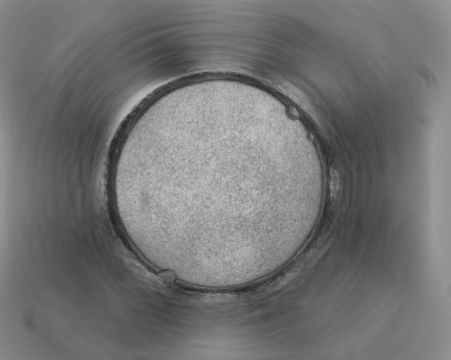 X0000113571068200910161513