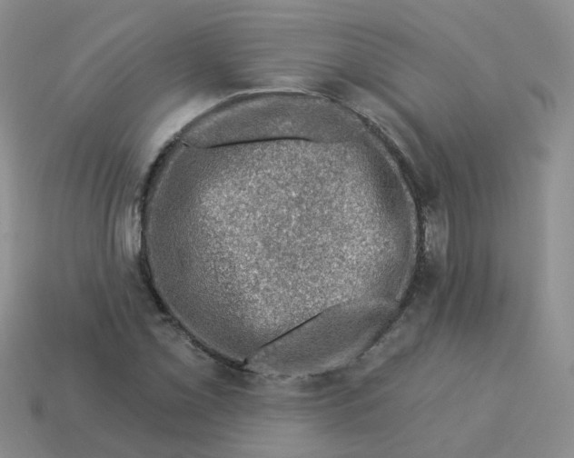 X0000113571069200910161513