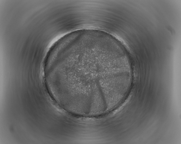 X0000113571070200910161513