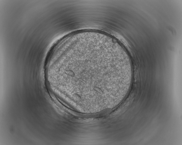 X0000113571072200910161513