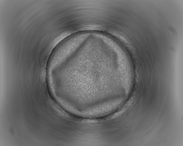 X0000113571073200910161513