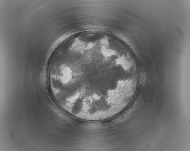 X0000113571074200910161513