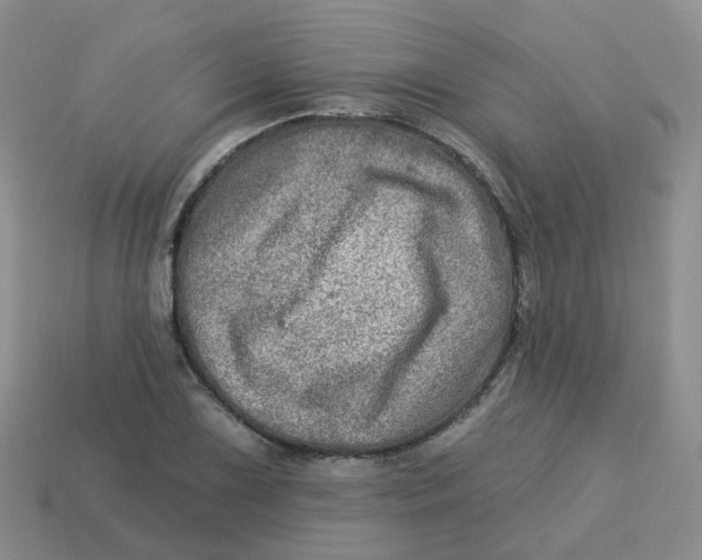 X0000113571075200910161513