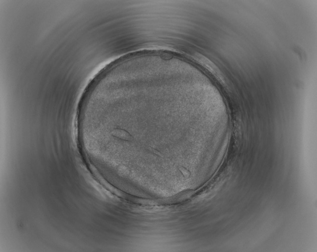 X0000113571076200910161513