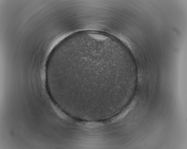 X0000113571077200910161513