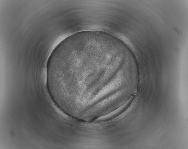 X0000113571079200910161513