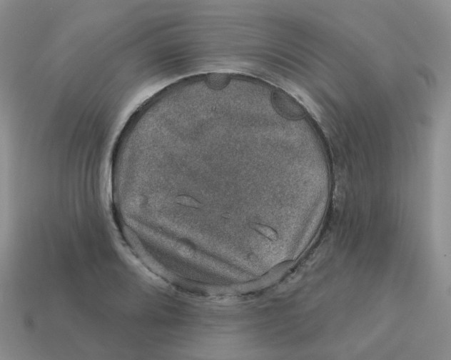 X0000113571080200910161513