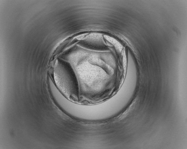 X0000113571081200910161513