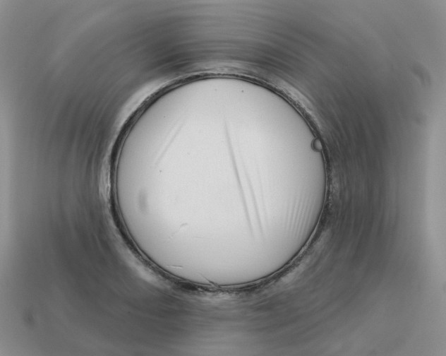 X0000113571082200910161513