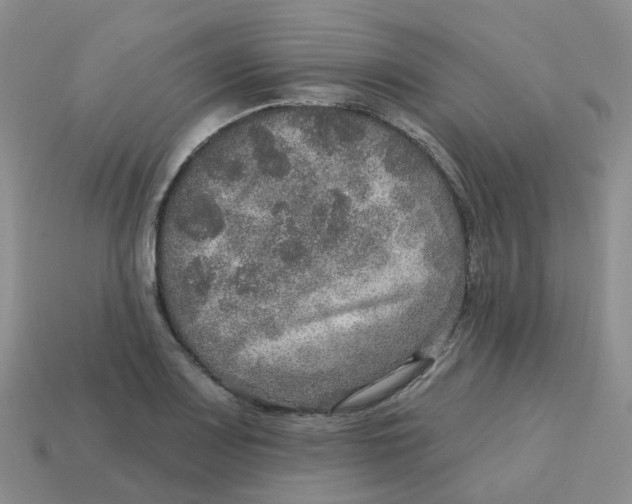 X0000113571083200910161513