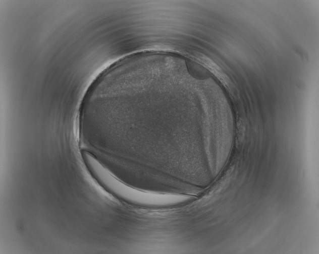 X0000113571084200910161513