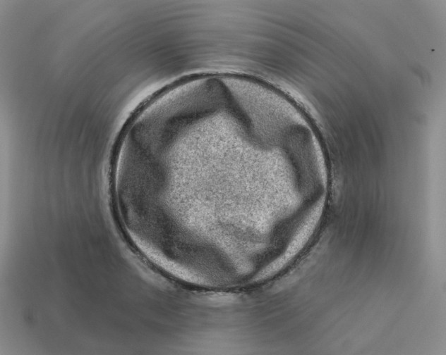 X0000113571085200910161513