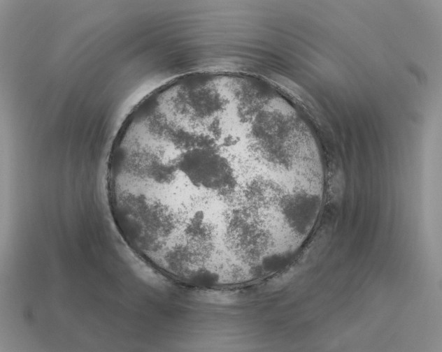 X0000113571086200910161513