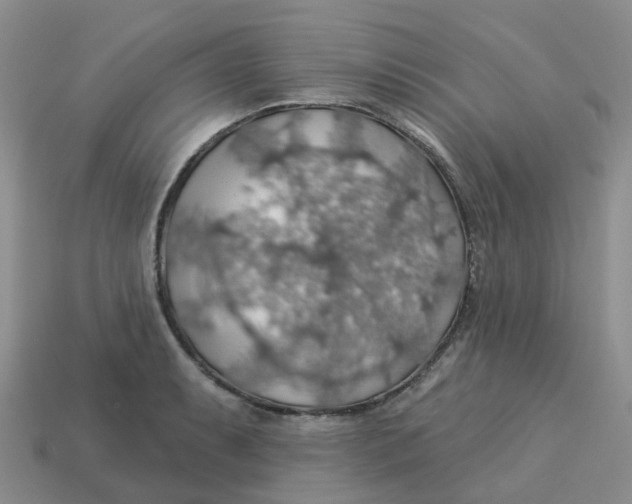 X0000113571087200910161513