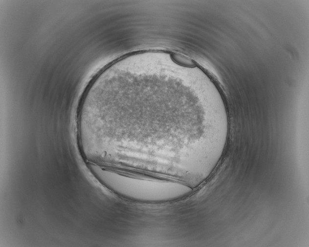 X0000113571088200910161513