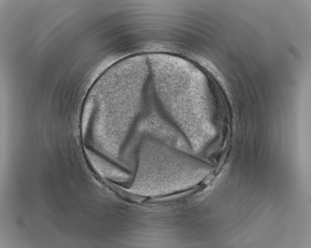 X0000113571089200910161513