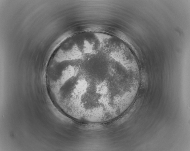 X0000113571090200910161513