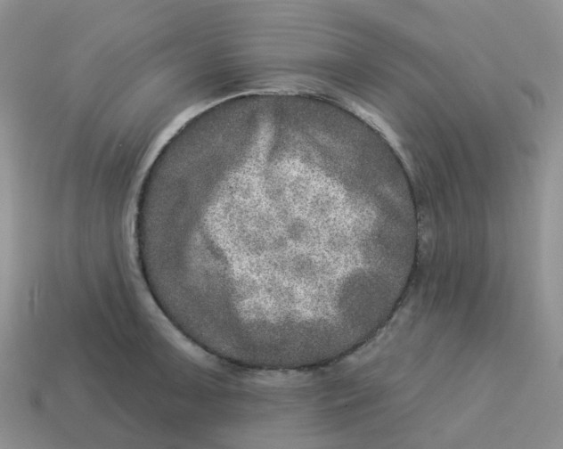 X0000113571091200910161513