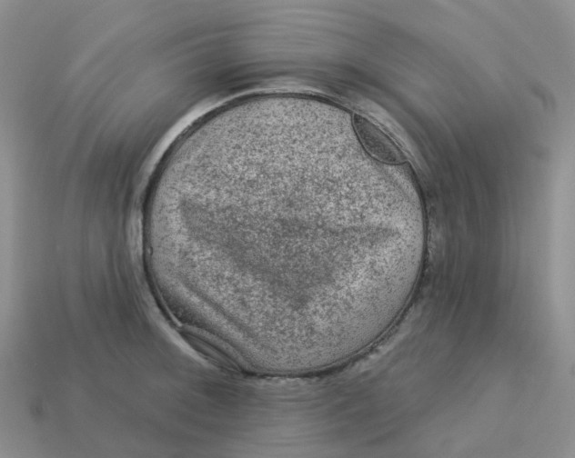 X0000113571092200910161513