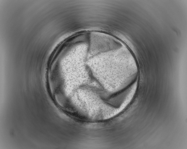 X0000113571093200910161513