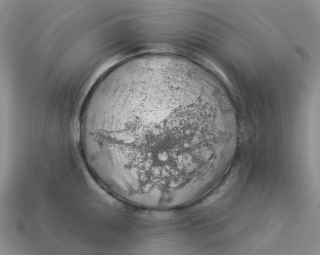 X0000113571095200910161513