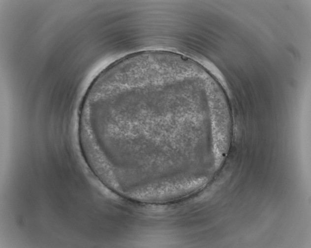 X0000113571096200910161513