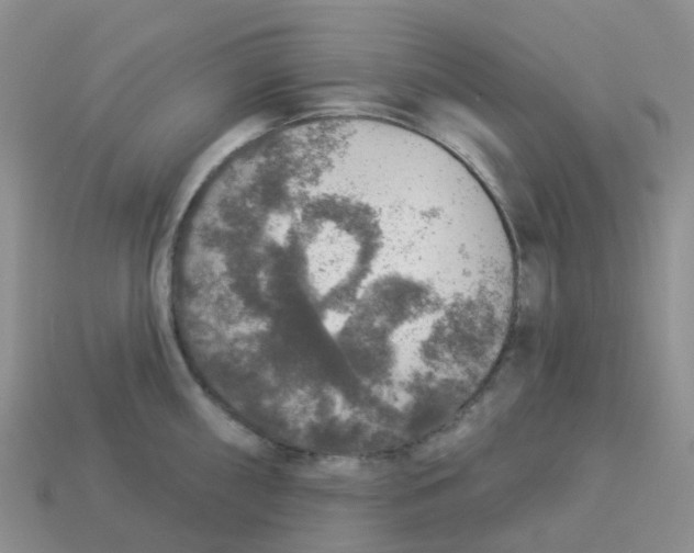 X0000113571098200910161513