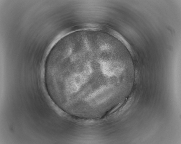 X0000113571099200910161513