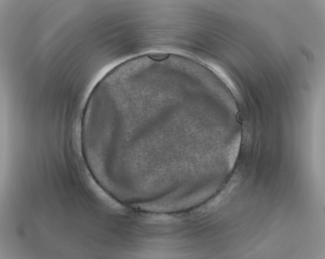 X0000113571100200910161513