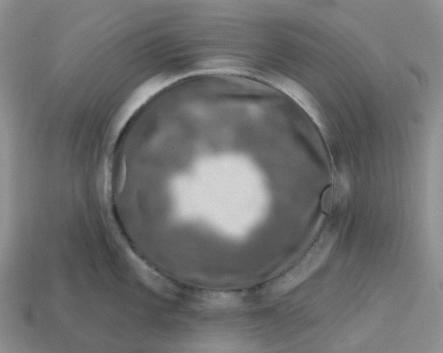 X0000113571101200910161513