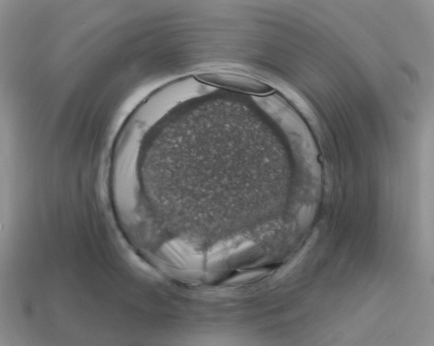 X0000113571102200910161513