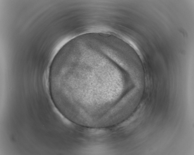 X0000113571103200910161513