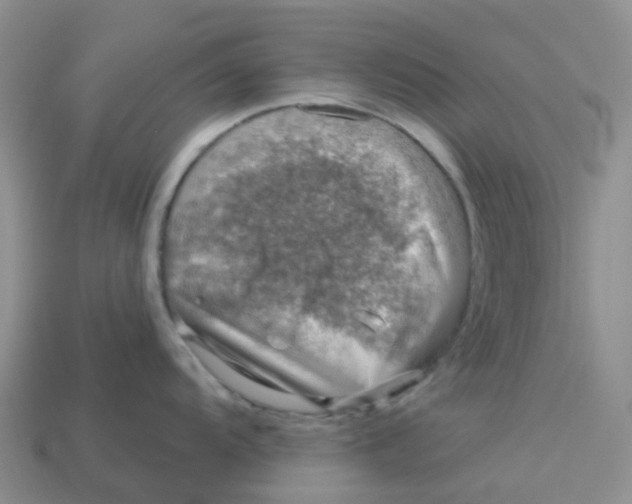 X0000113571104200910161513