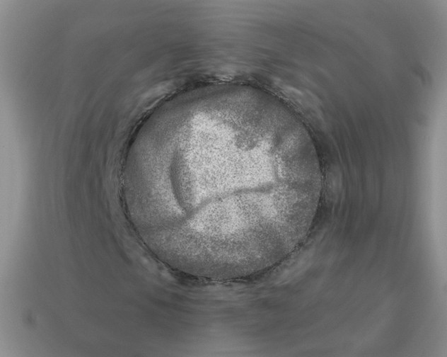 X0000113571105200910161512