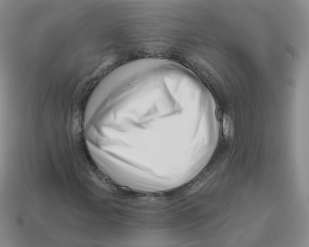 X0000113571107200910161512