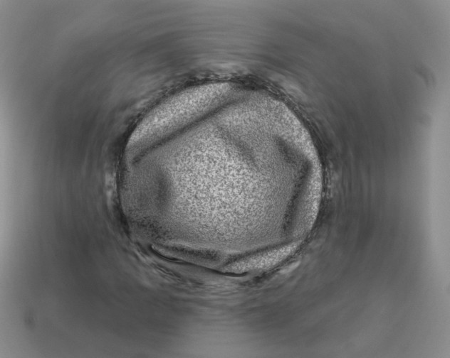 X0000113571109200910161512