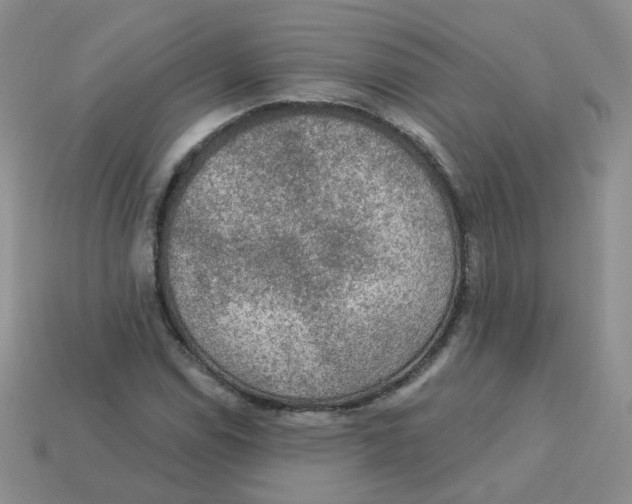 X0000113571114200910161512