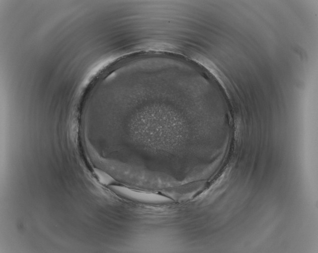 X0000113571115200910161512