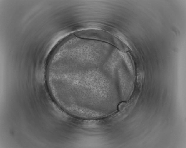 X0000113571116200910161512